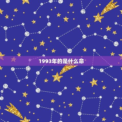 1993年生肖五行